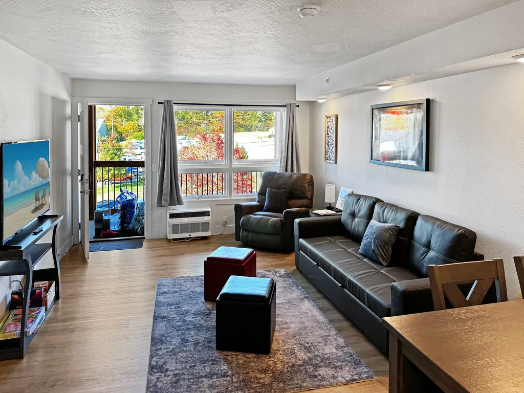 Pet-Friendly Modern Condo