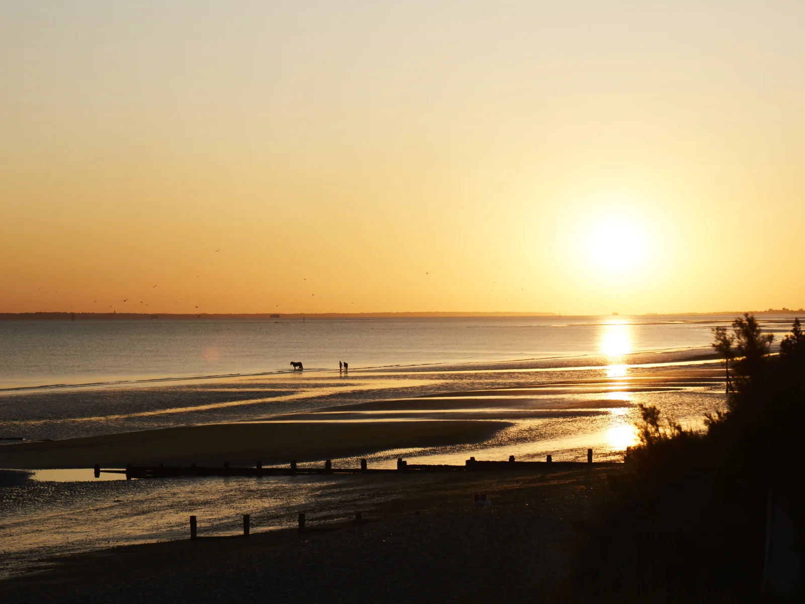 Enjoy breathtaking sunsets from the comfort of our beachfront house in West Wittering