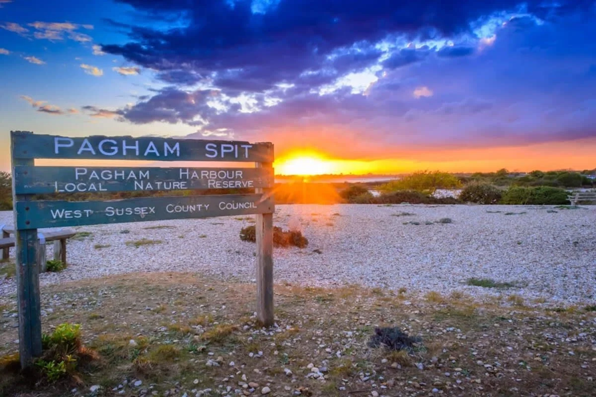 Pagham Spit reserve is a must for nature enthusiasts and twitchers alike!