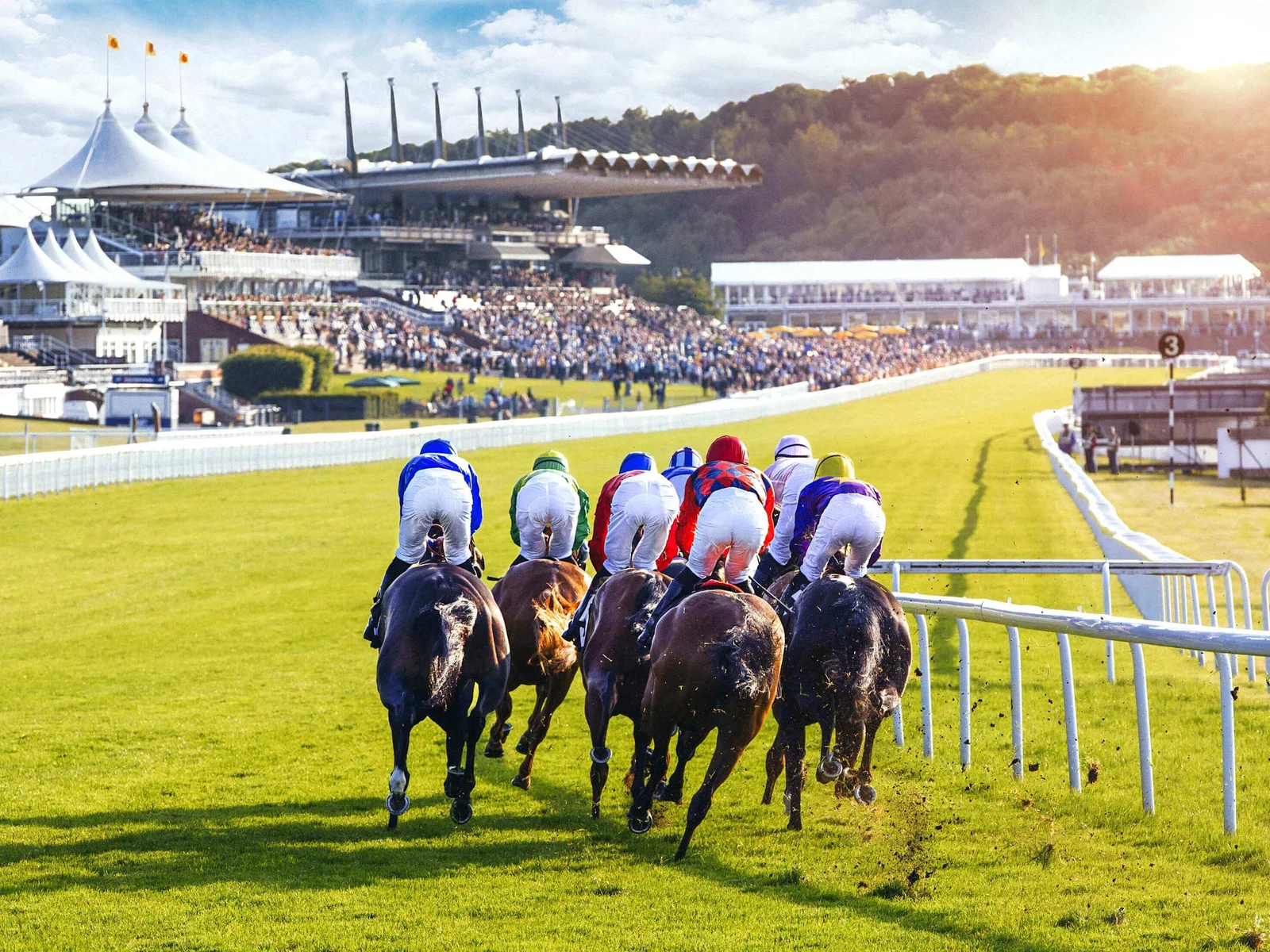 Thrilling summer race days at Goodwood