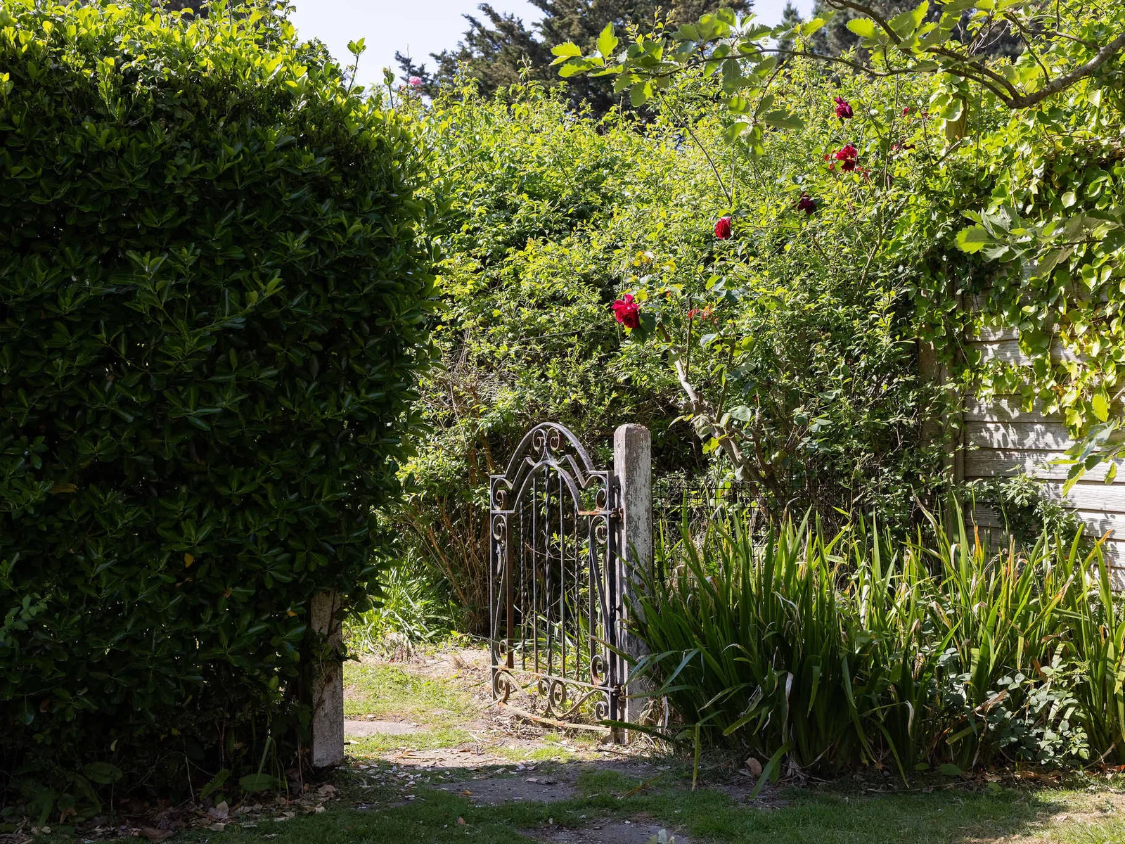 Garden gate to the second larger rear garden