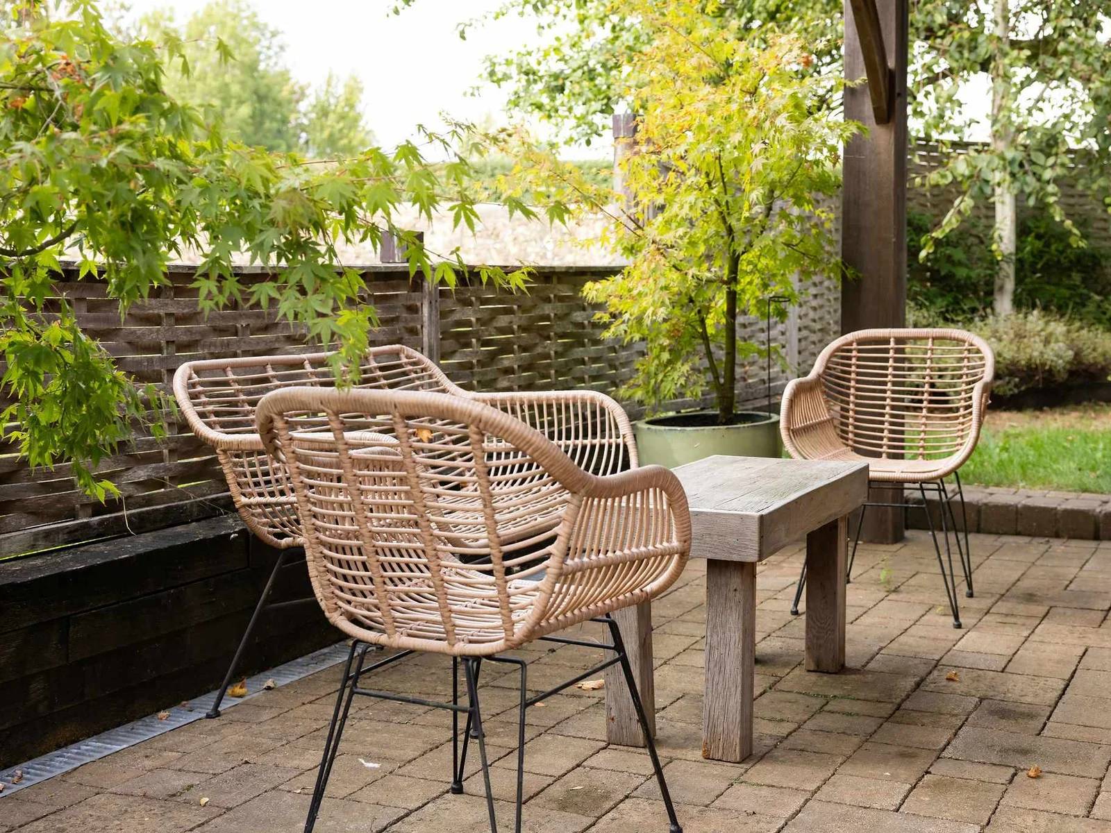 A quiet outdoor seating area tucked amongst the greenery (p.s if you're lucky, the donkeys will be in the field)