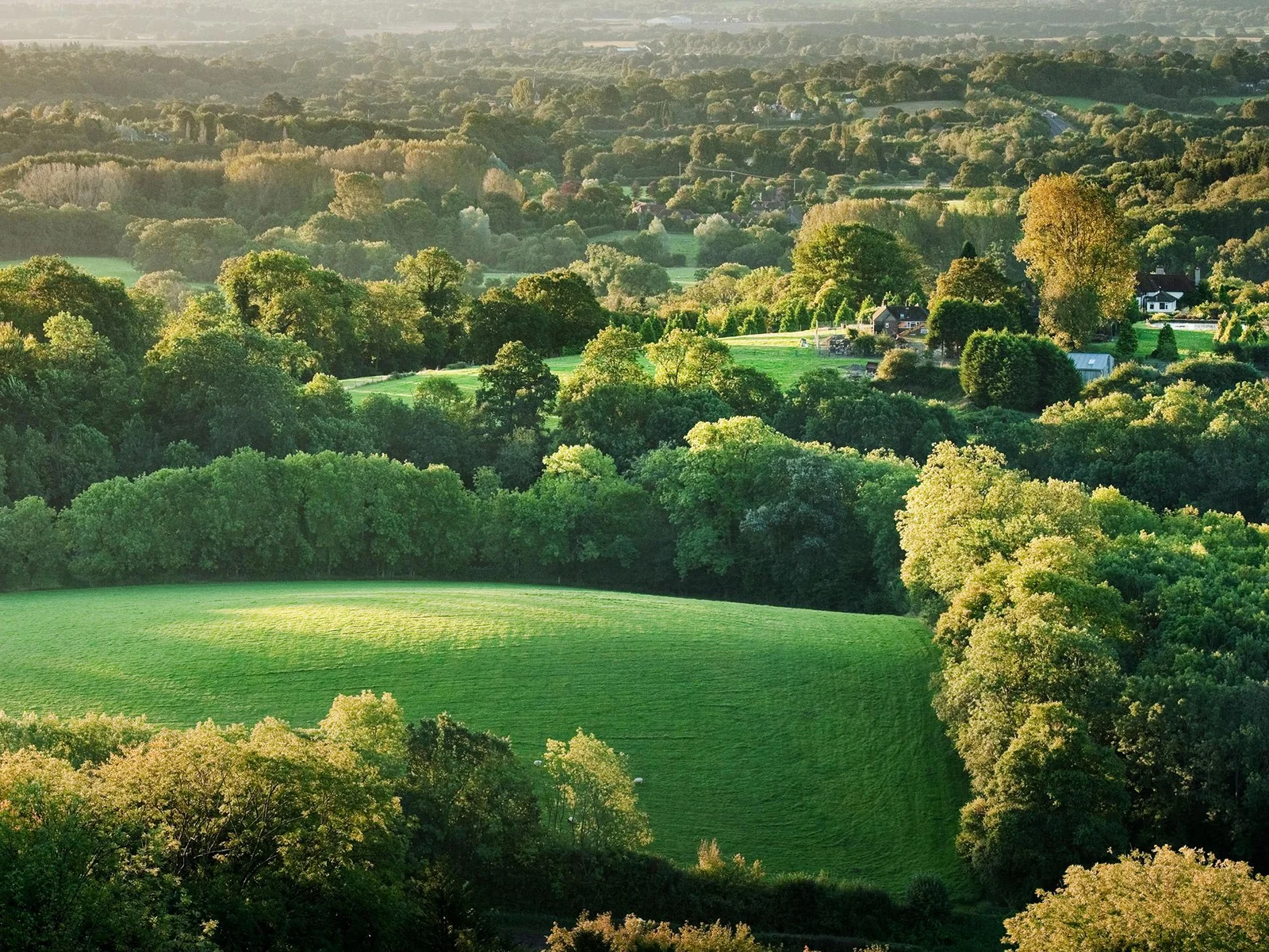 Stunning views from the top of The South Downs!