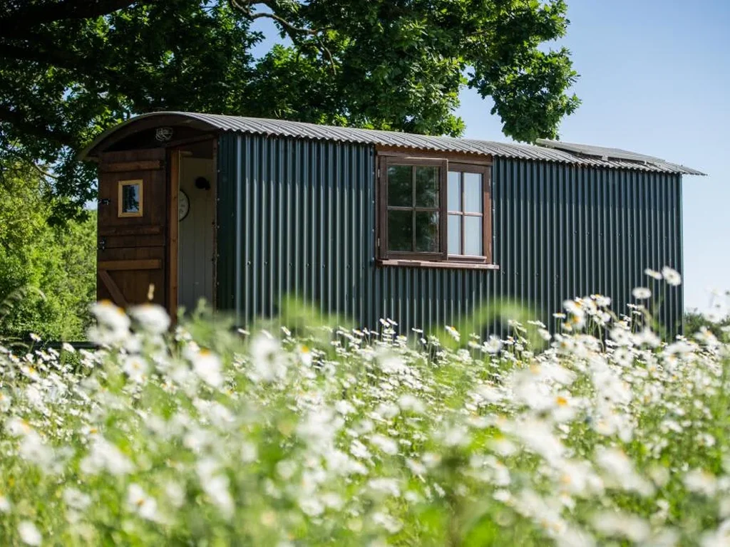 Harbour Ranch Hut – Rustic Countryside Escape