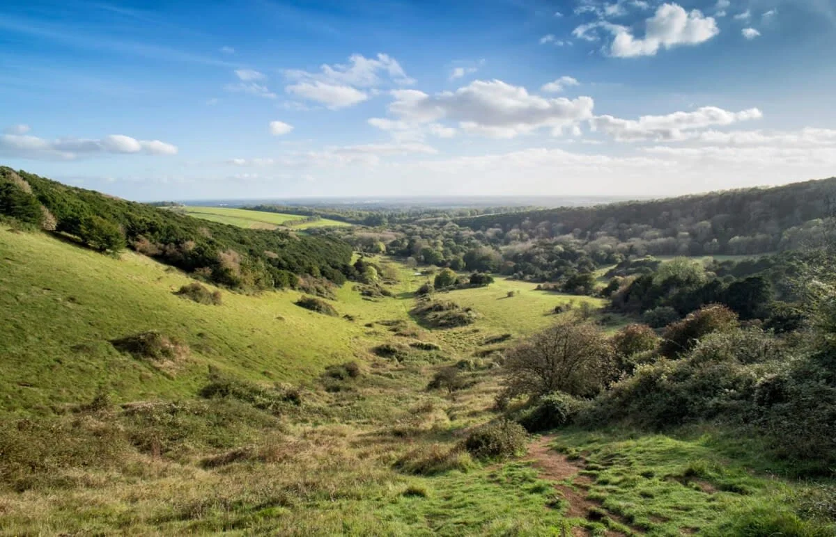 The South Downs National Park is just a 20 minute drive away and great for long walks!