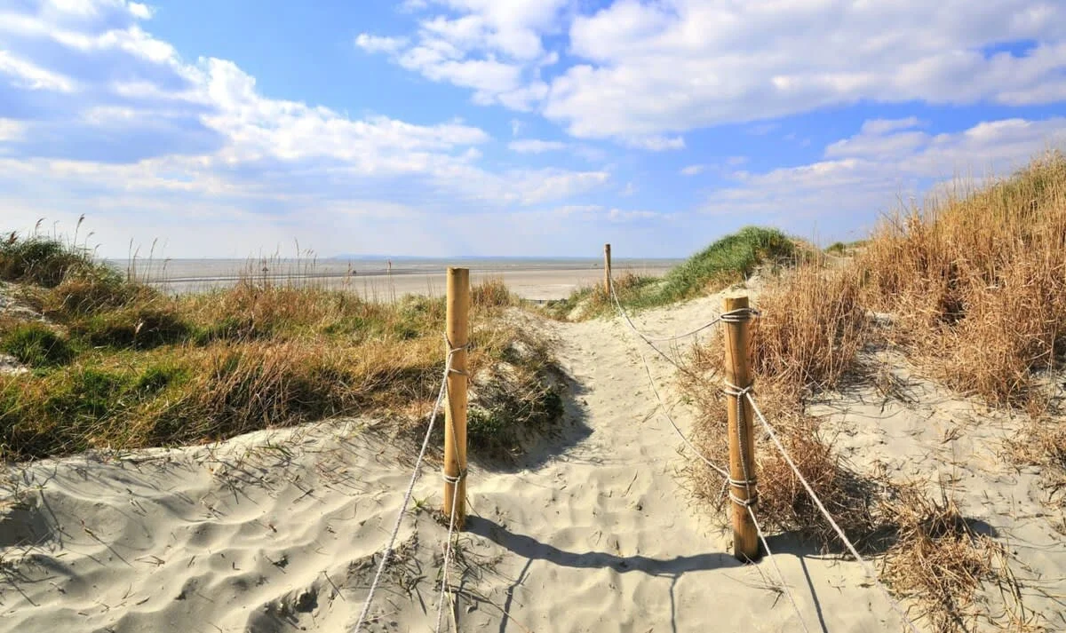 Visit East Head National Trust, part of West Wittering's beach estate.