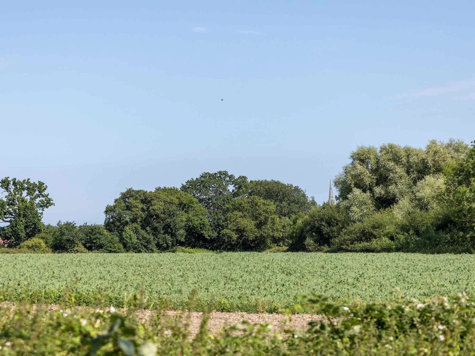 Countryside views surround the home, with Chichester’s magnificent cathedral in the distance.