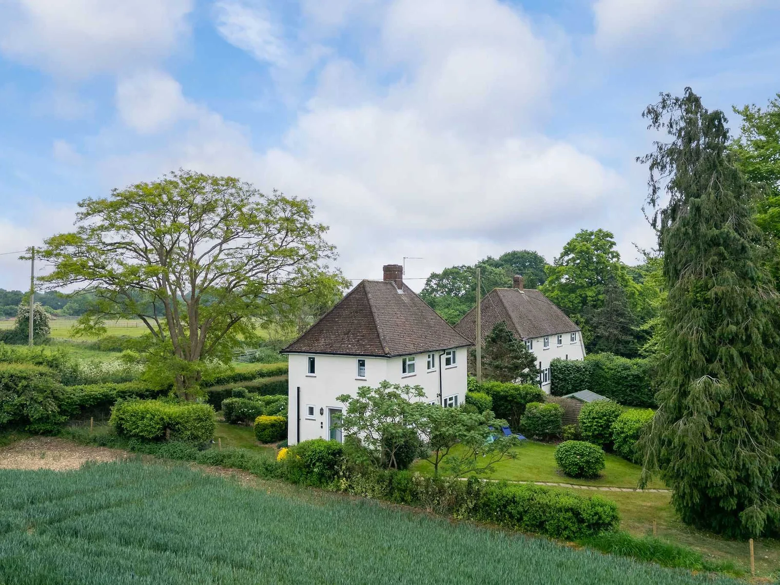 Surrounded by fields and bird song, this tranquil escape is ideal for walkers, families, and anyone craving a slice of rural Sussex life.