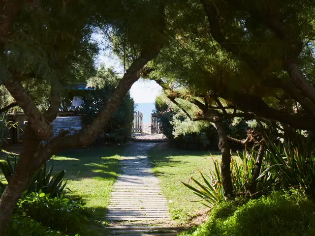 Beachfront Retreat 6bd, Hot Tub, Sauna and Bar