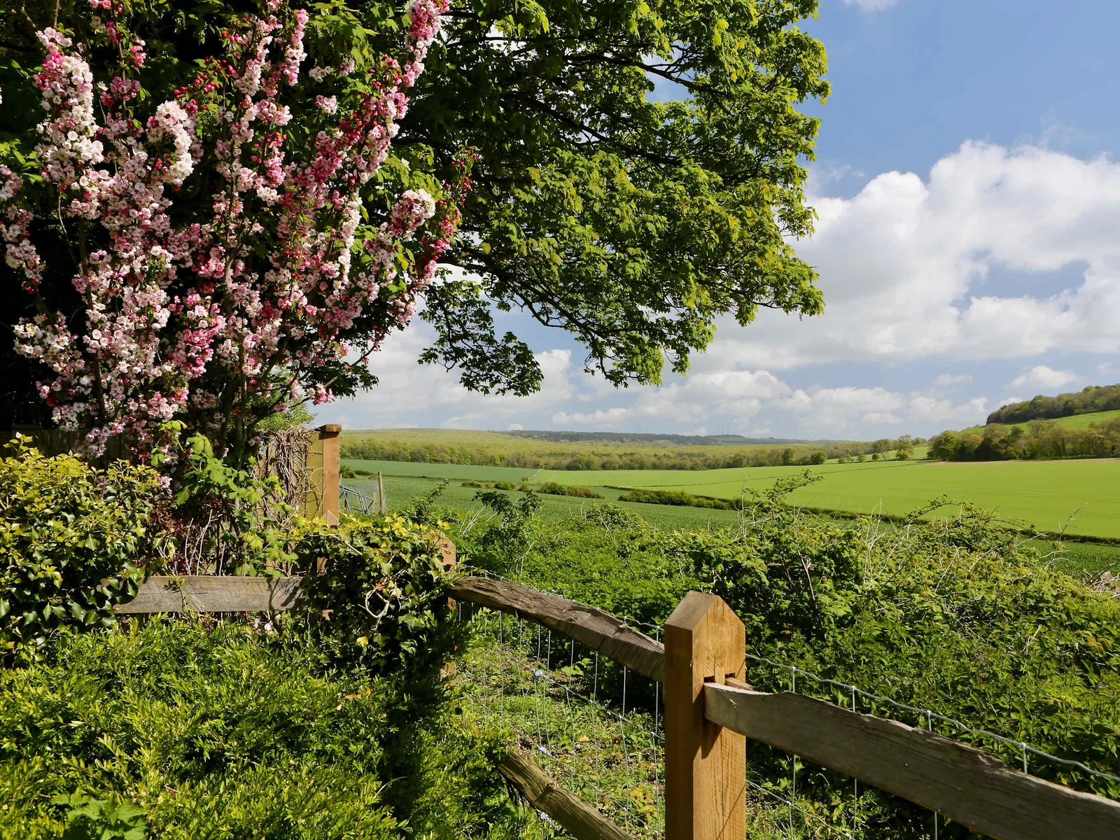 A view you will never tire of