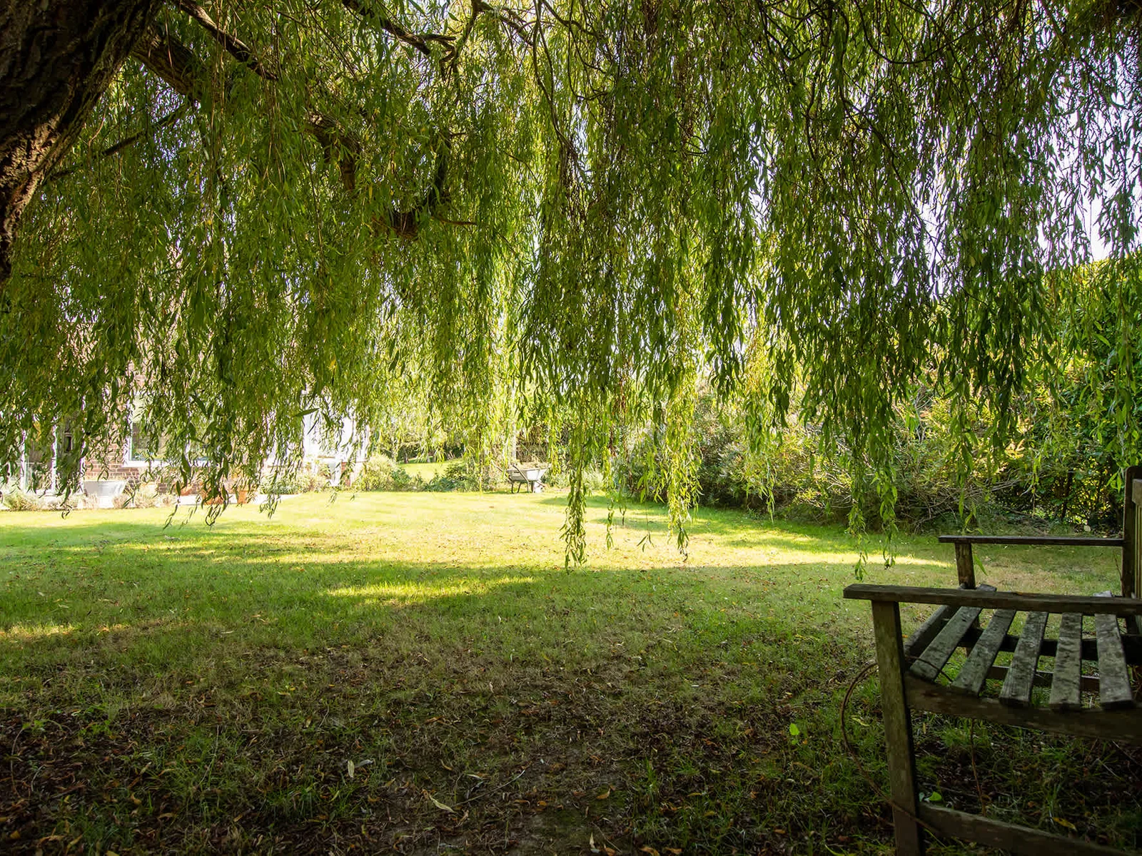 ...or a shady nook under a draping willow.