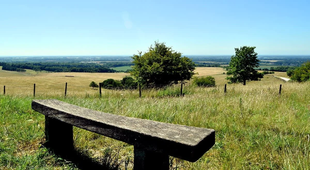 Explore the various walks along the south downs, just 20 minutes drive away