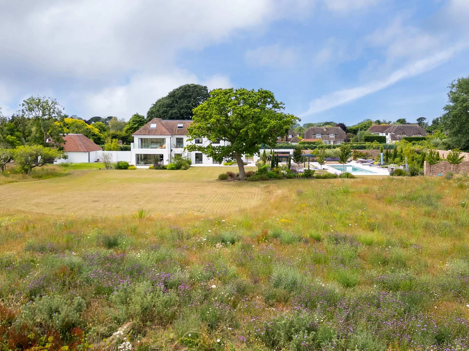 Sweeping wildflower meadow in front of the house