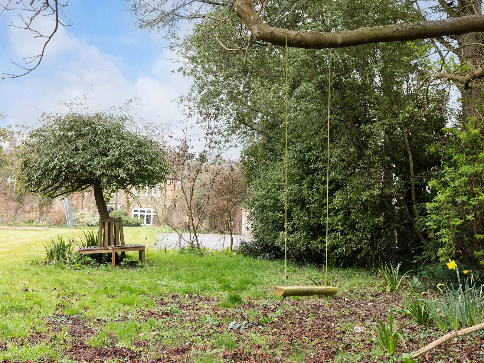 A rope swing hanging from a sturdy tree, adding a playful touch