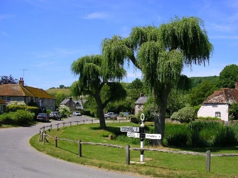 The cottage is in the pretty countryside village of East Dean.