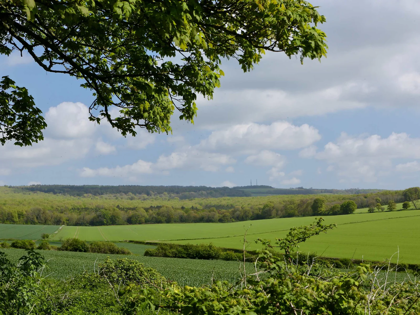 The view from the garden is stunning