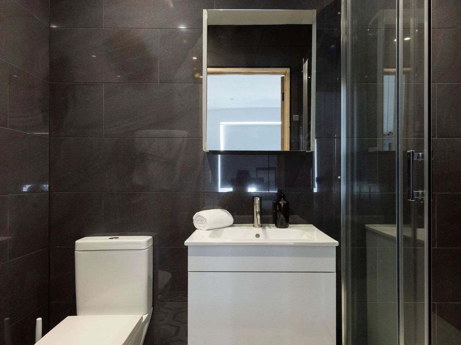 Modern en suite with walk-in shower and vanity