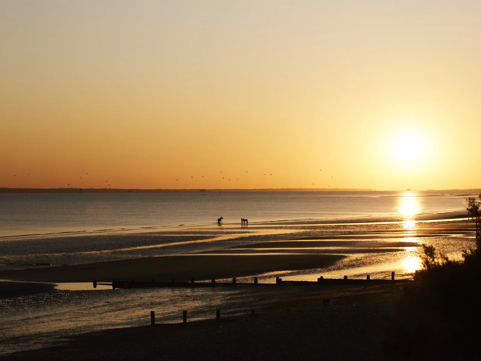 As the sun sets, reflect on the adventures of the day and memories that will last a lifetime..