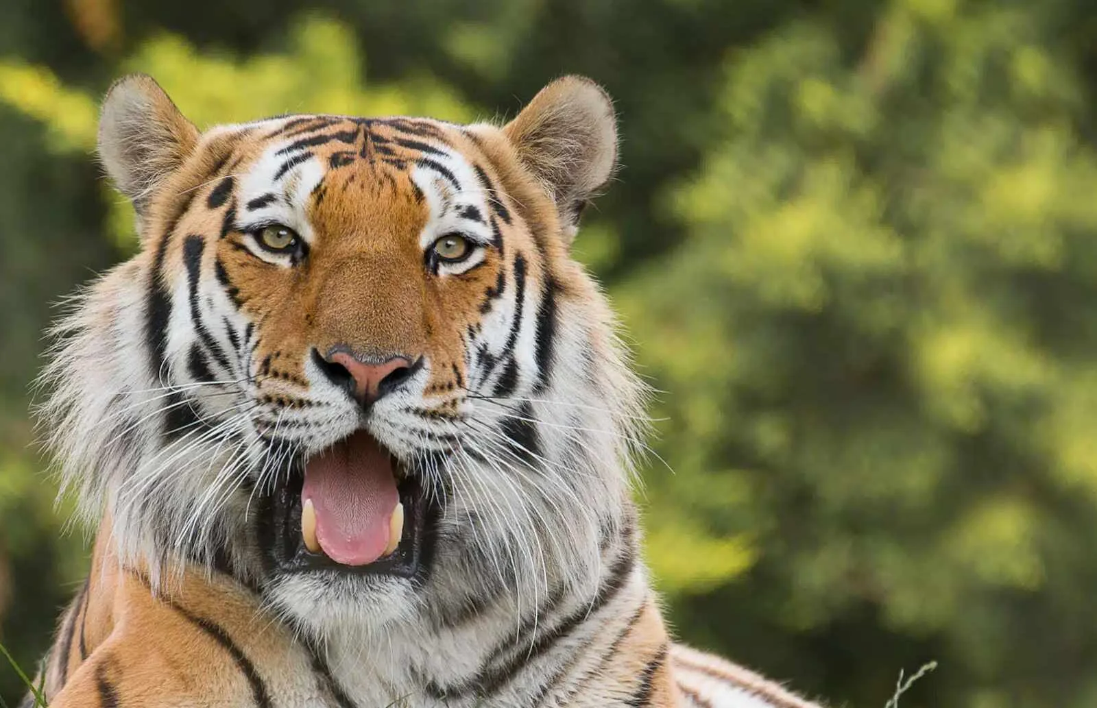 Marwell Zoo is only a 20 min drive away.