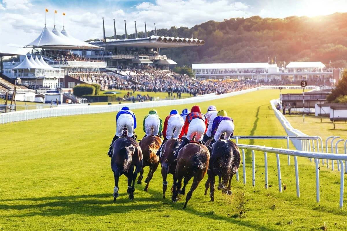 Goodwood Horse racing is world famous and only 15 minutes drive from the home.