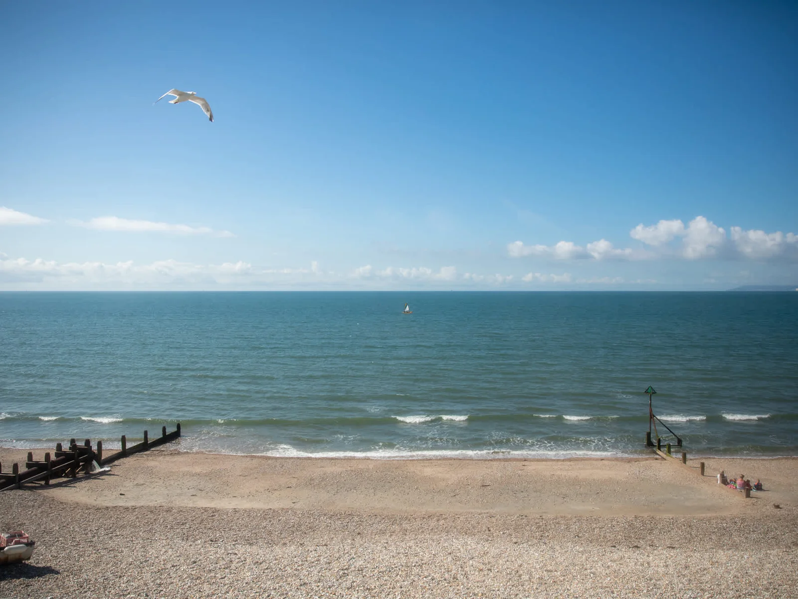 Seagulls are our trusted co-hosts who will greet you each morning