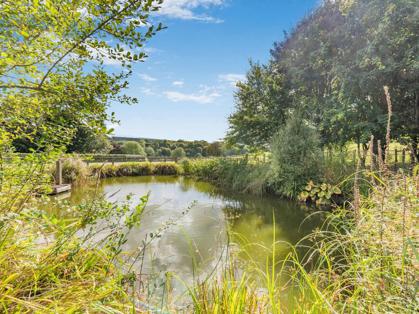 A peaceful wildlife pond nestled amongst the estate grounds.