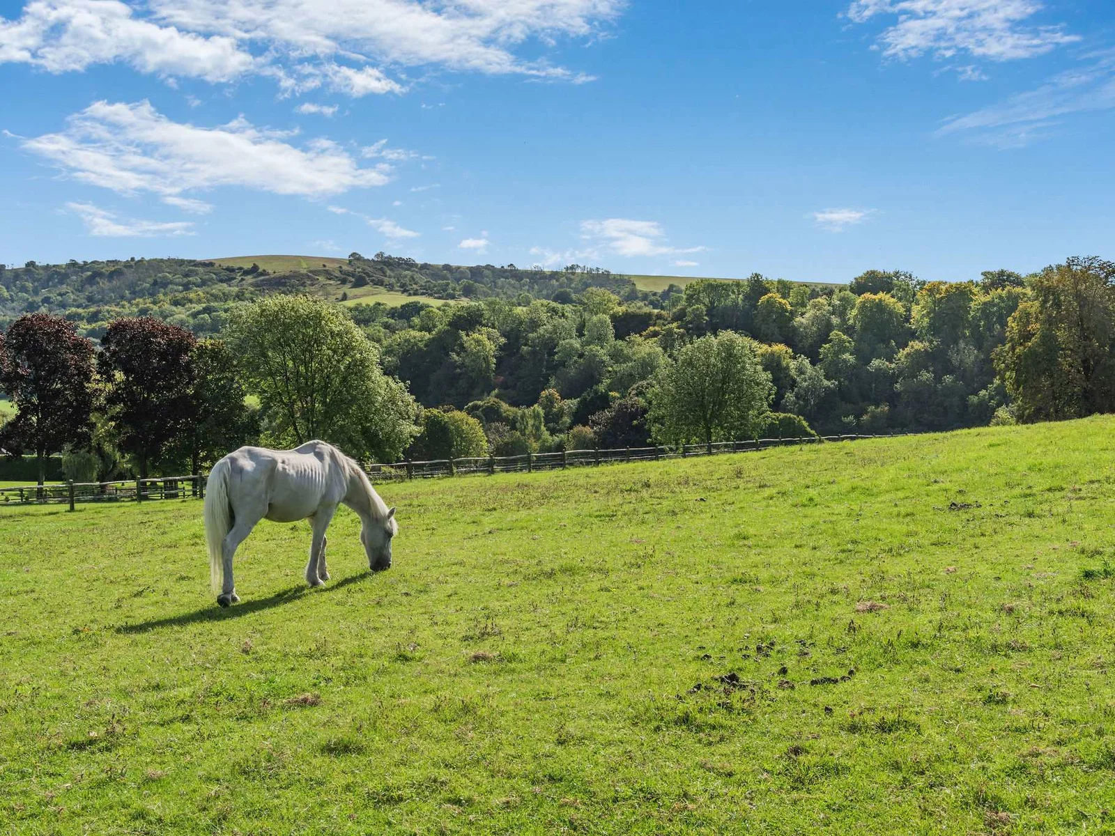 A true countryside escape where your horses can graze against the South Downs backdrop