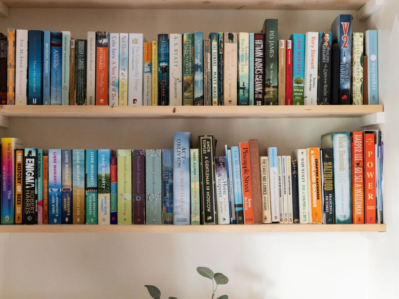 Pick a novel, turn the fire on, pour yourself a glass of red and relax!