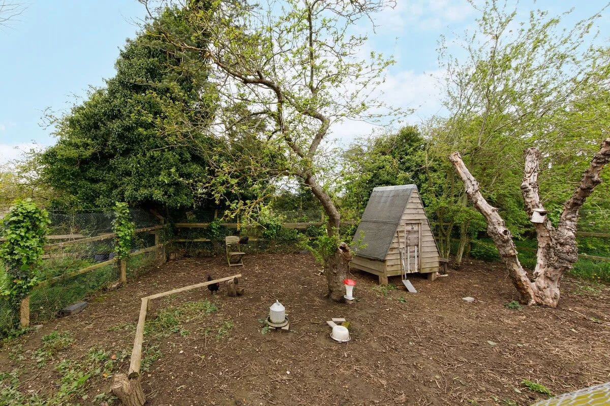 You'll be treated to fresh eggs during your stay.