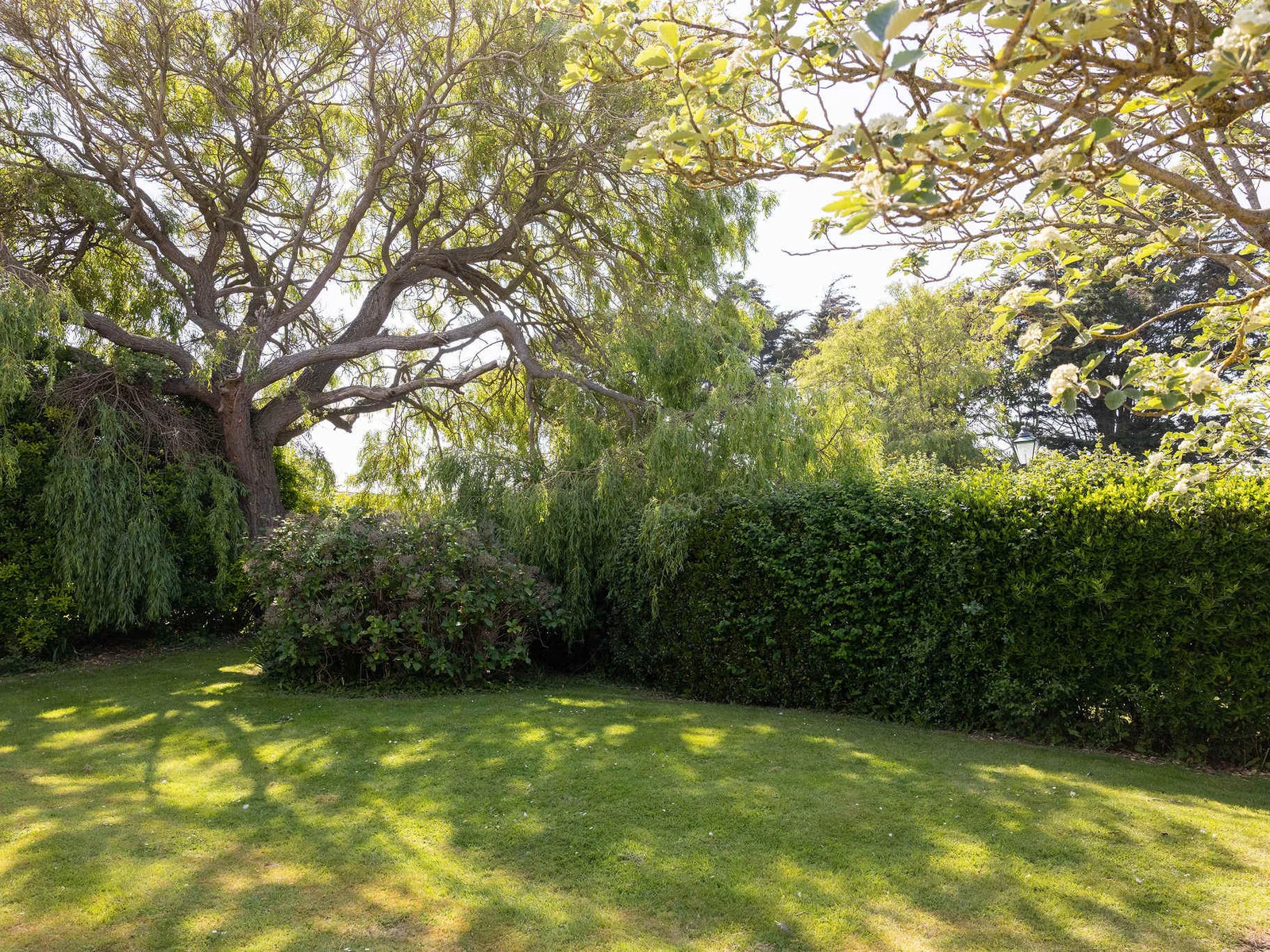 First part of the lovely rear garden