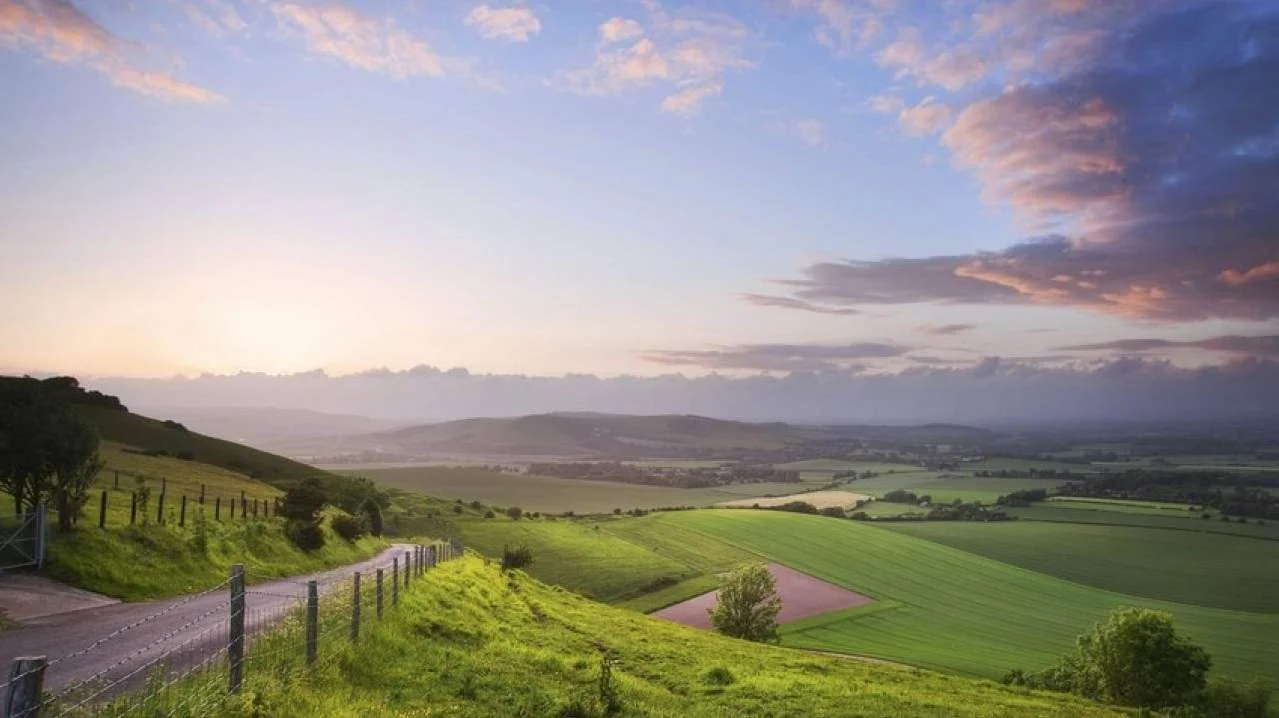 Enjoy the country vibes in this sea of green.