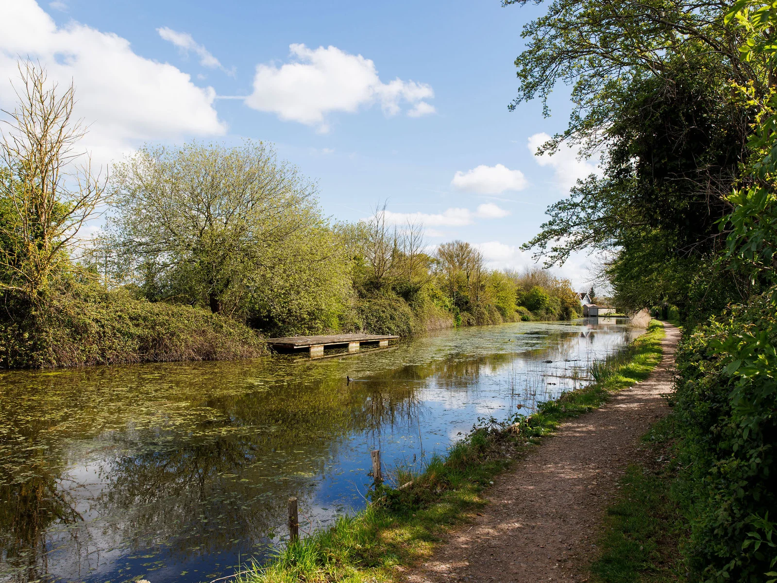 Chichester's canal offers a peaceful place to walk, cycle, paddle board or canoe.