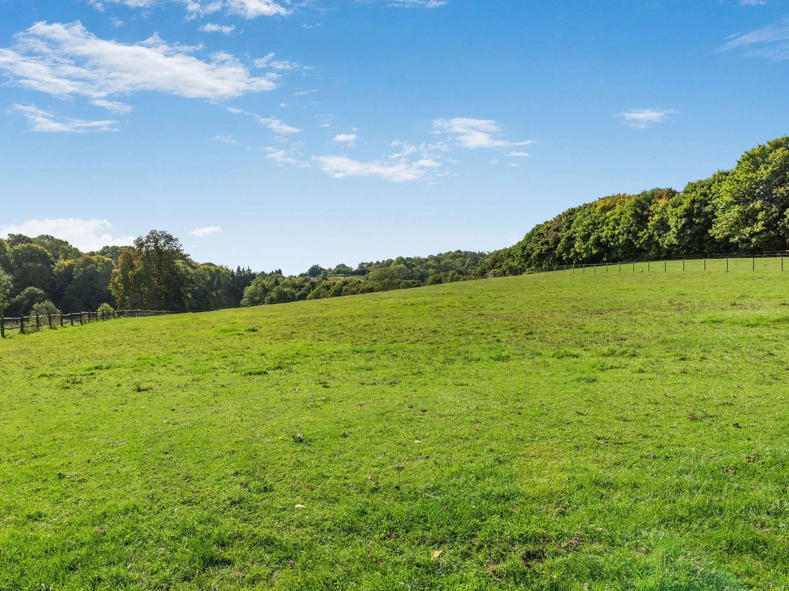 Over 4 acres of wide-open paddocks and peaceful West Sussex countryside.