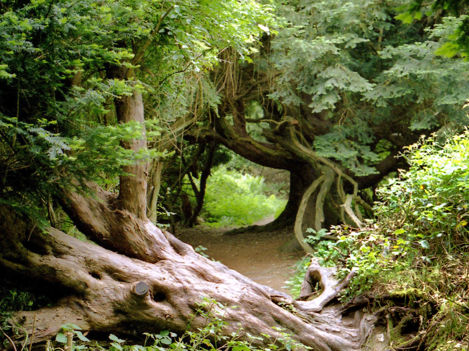 Explore surrounding countryside and woodlands.