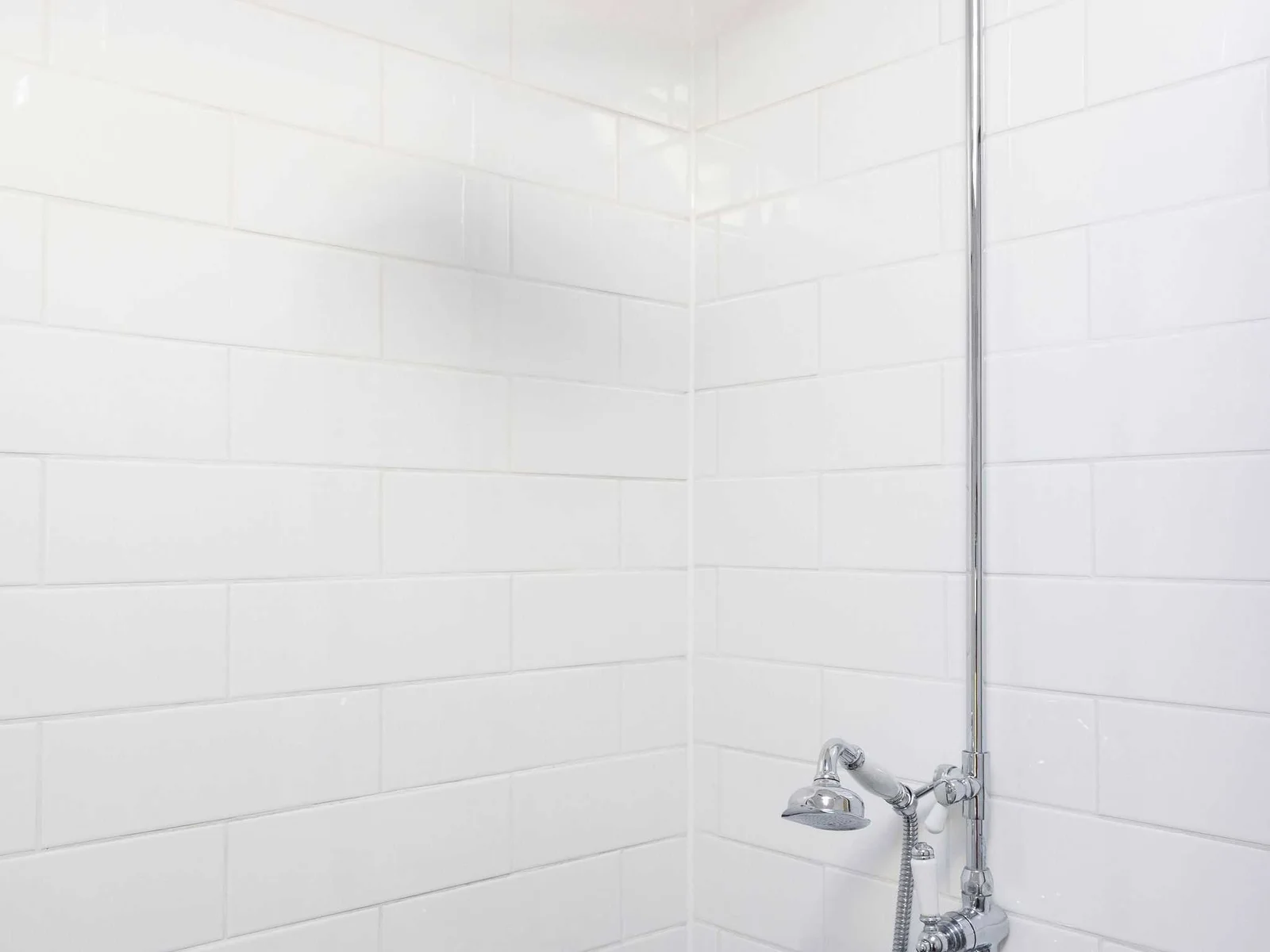 Overhead shower in this en suite bathroom.