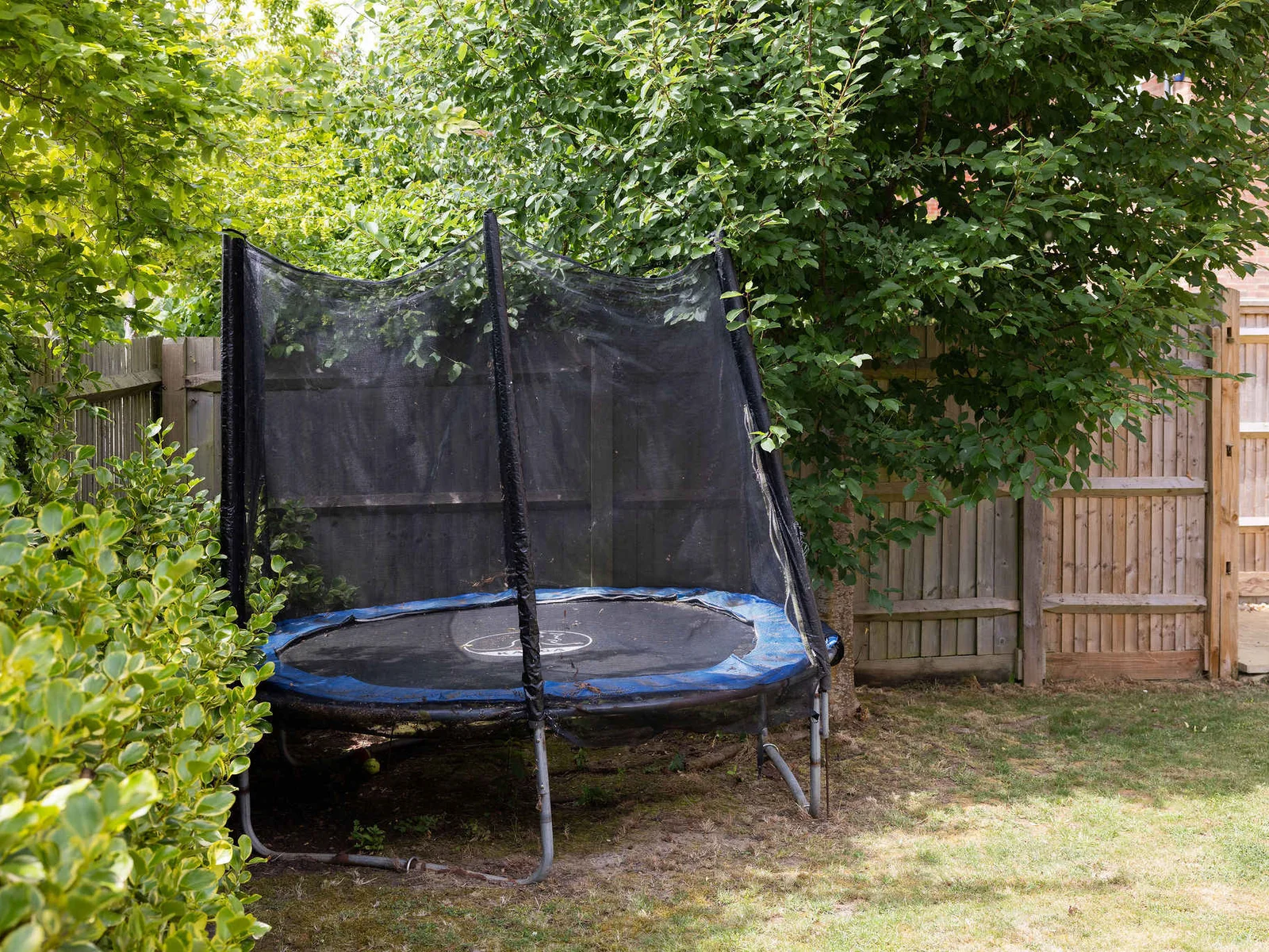 Garden trampoline.