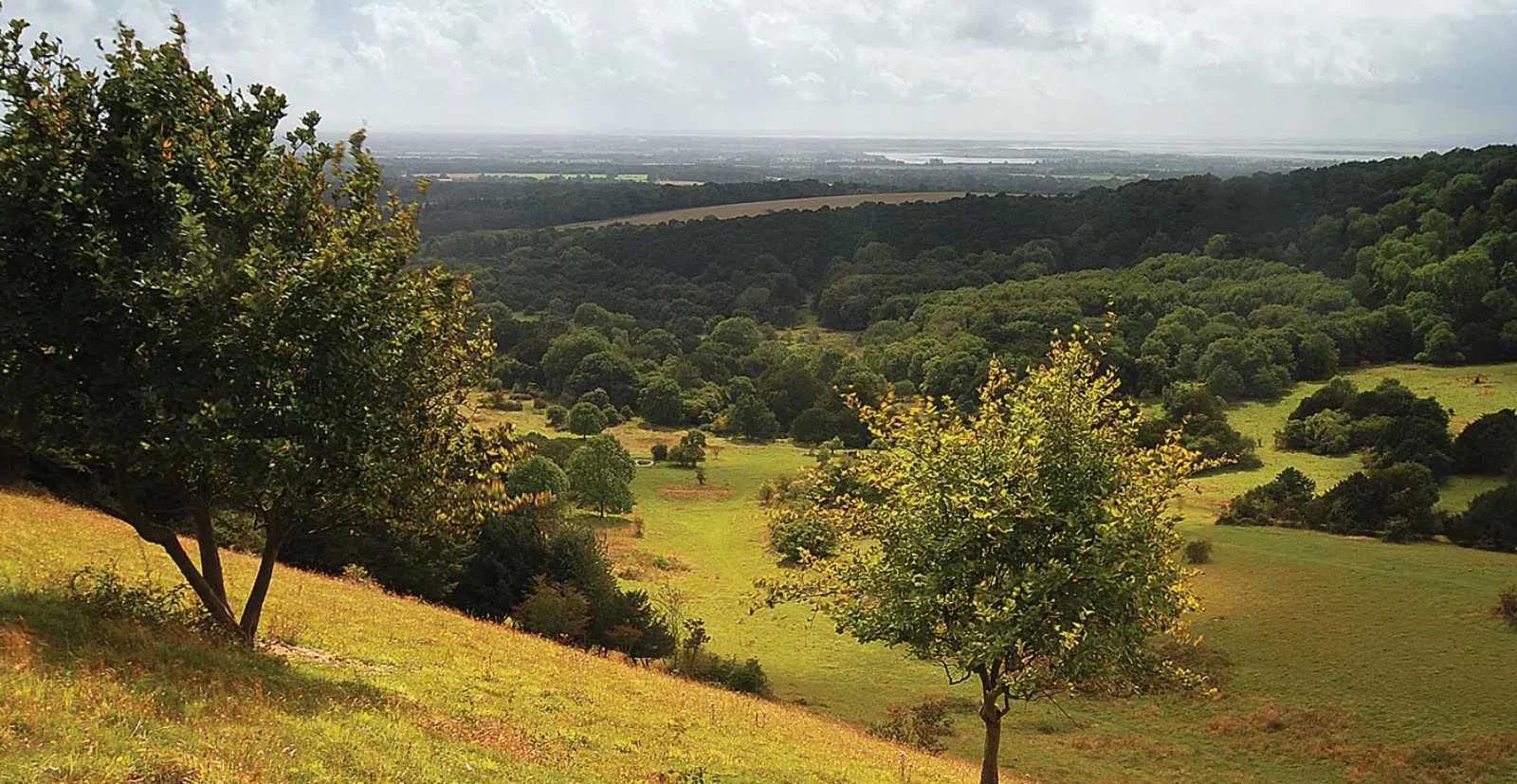 South Downs National Park is a short drive away. Discover rolling hills, footpaths and wildlife.