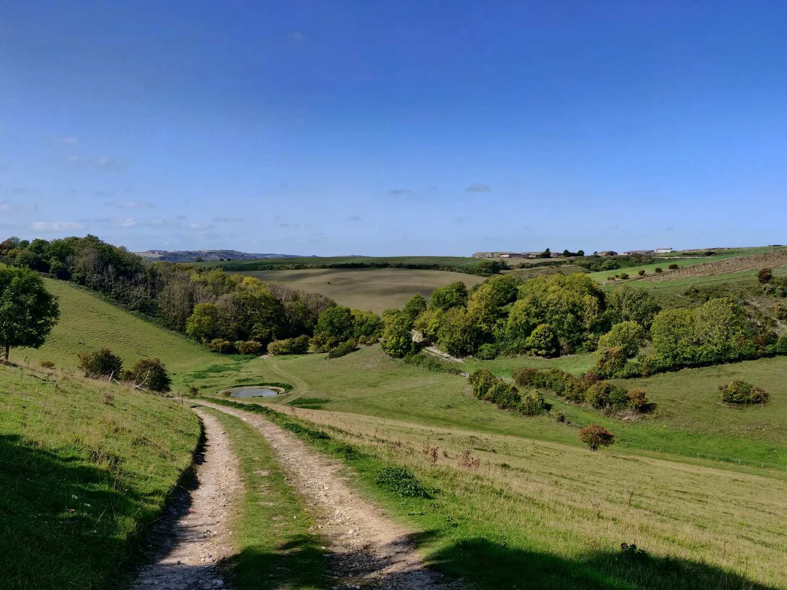Trundle walks in the sunshine are not to be missed!