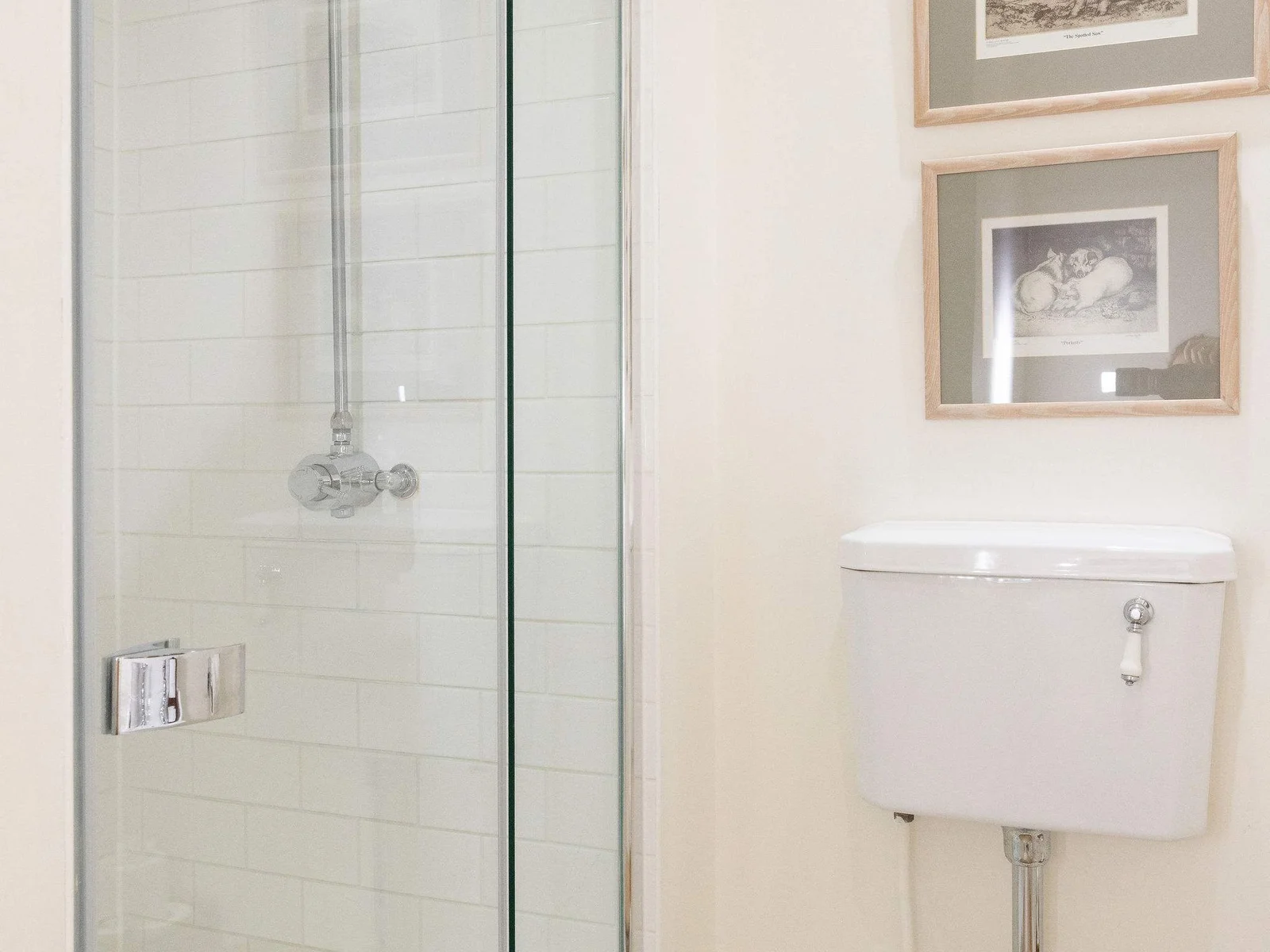 Fresh and modern downstairs shower room with practical design.