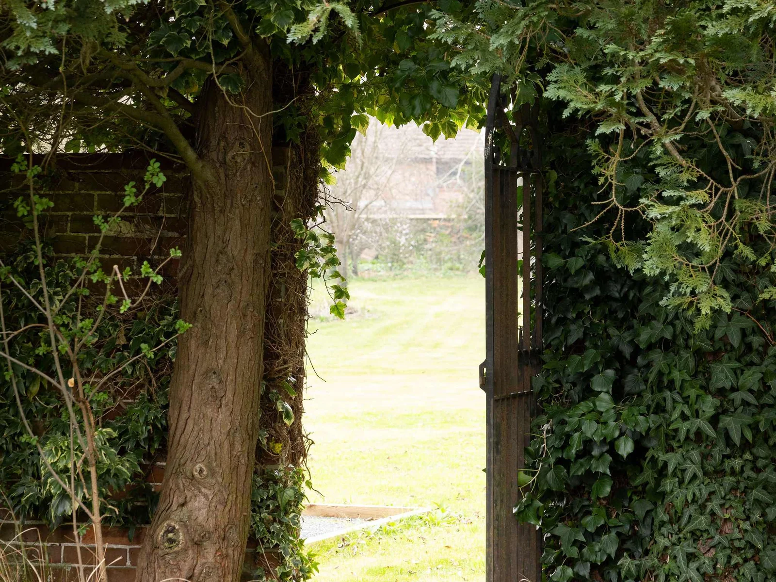 A secret garden gate framed by ivy opens to a scenic landscape
