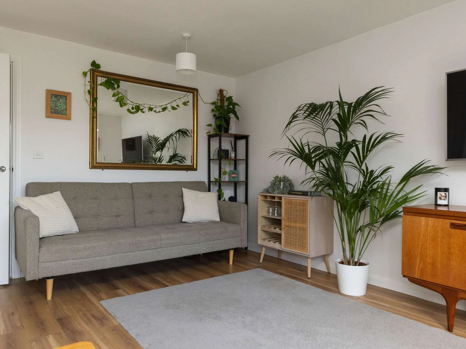 Bright and stylish living room with comfy seating.