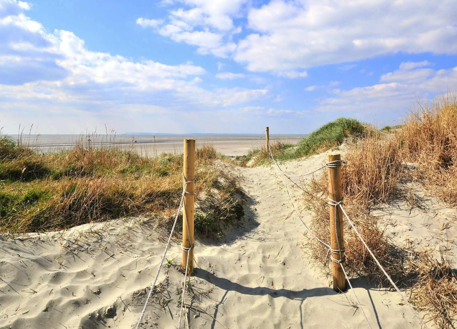 Explore West Wittering sand dunes and East Head National Trust.