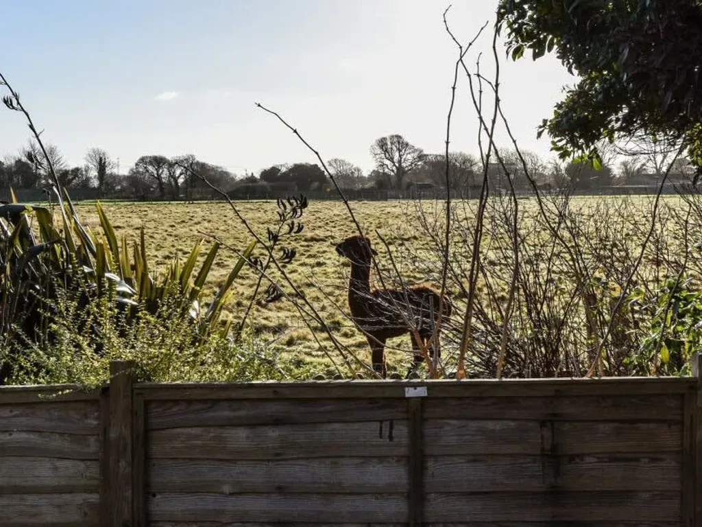 3bd Family Beach Retreat in West Wittering