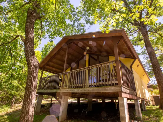 Golden Arrow Cabin #14