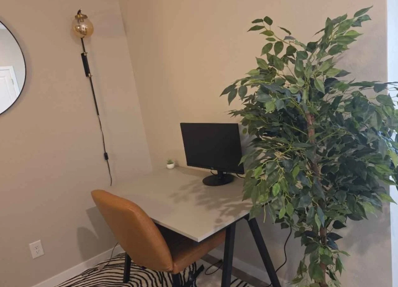260204_computer monitor.jpg