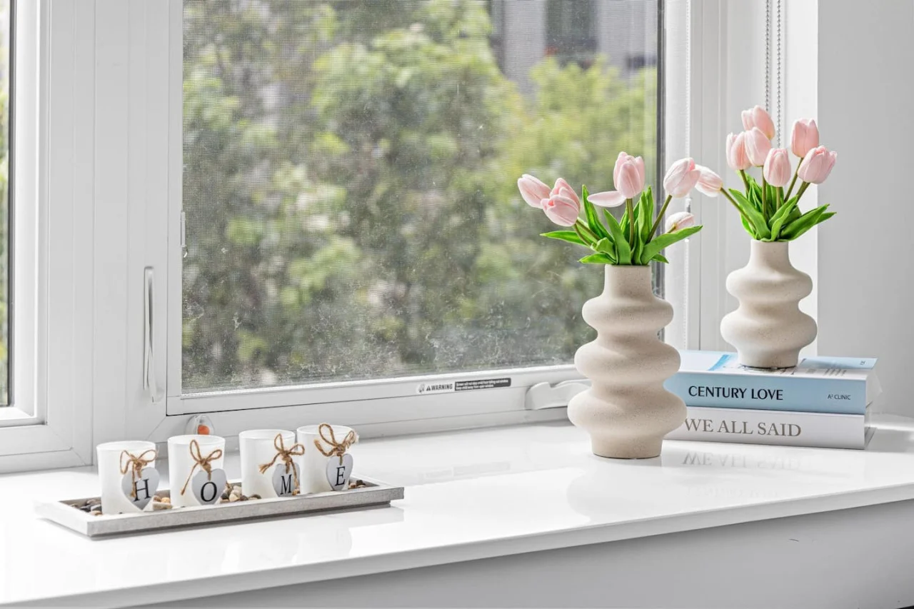 Decorative Plants - Books - Large window w/ natural light.