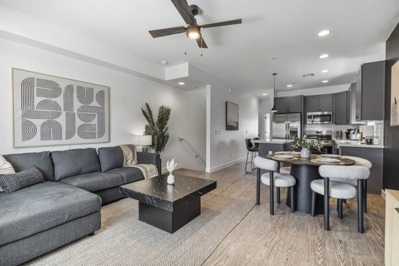 Living room and kitchen