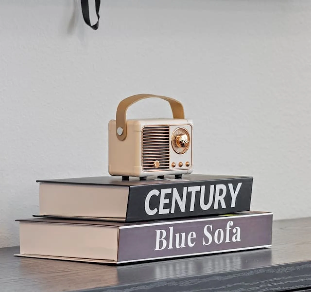 Discover thoughtful touches throughout the home, like this curated selection of books and charming plants. These details add a cozy and inviting feel, making it easy to relax and unwind during your stay.
