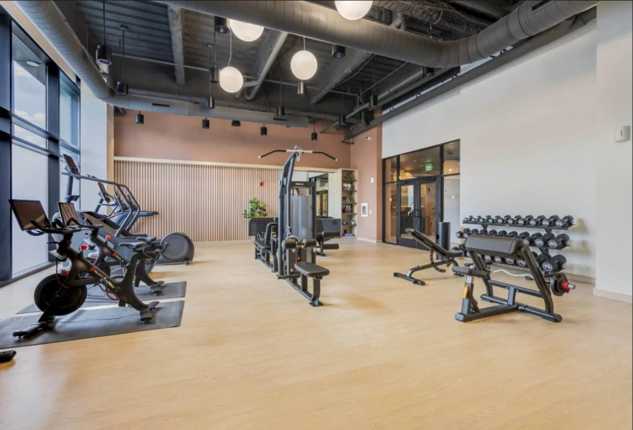 Spacious, well-lit gym equipped with a variety of cardio machines, free weights, and strength-training equipment.