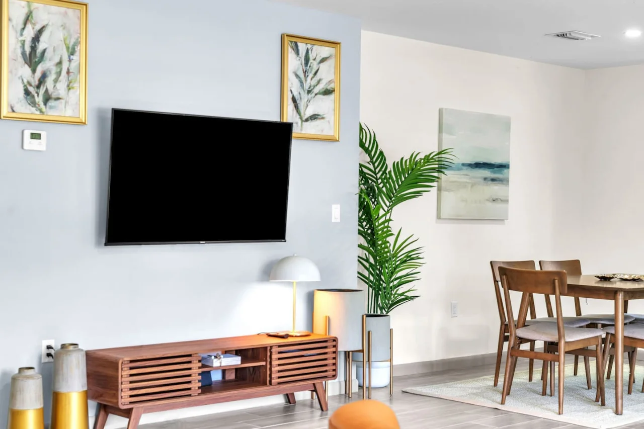55 inch Chromecast TV with zen plant in the living room.